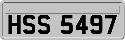 HSS5497