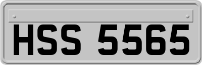 HSS5565