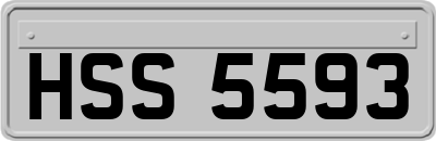 HSS5593