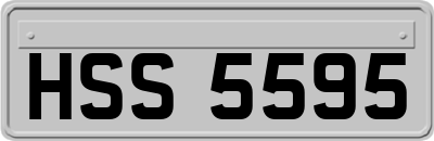 HSS5595