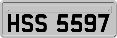HSS5597