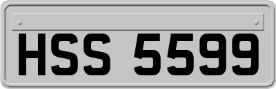 HSS5599