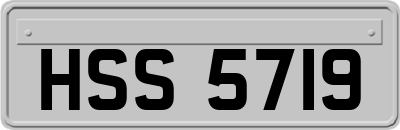 HSS5719