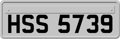 HSS5739