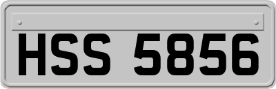 HSS5856
