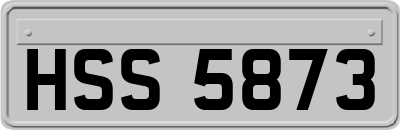 HSS5873