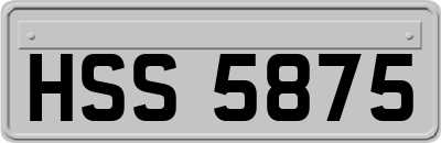HSS5875