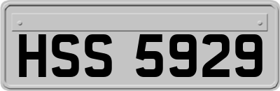 HSS5929