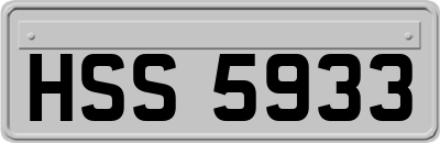 HSS5933