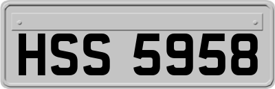 HSS5958