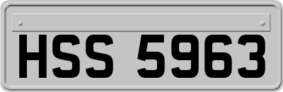 HSS5963
