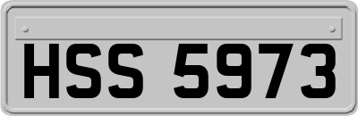 HSS5973