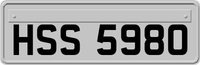 HSS5980
