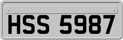 HSS5987
