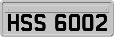 HSS6002