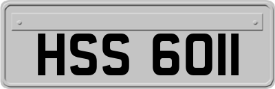 HSS6011