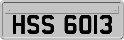 HSS6013