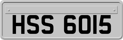 HSS6015