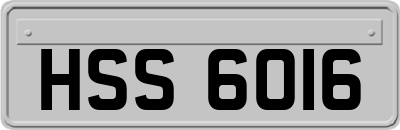 HSS6016