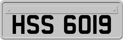HSS6019