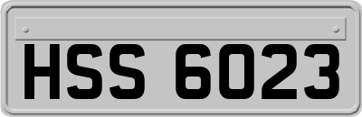 HSS6023