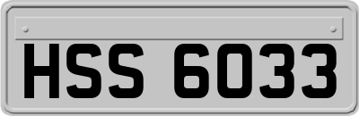 HSS6033