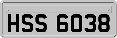 HSS6038