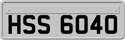 HSS6040