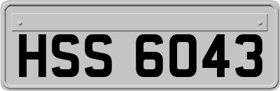 HSS6043