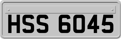 HSS6045