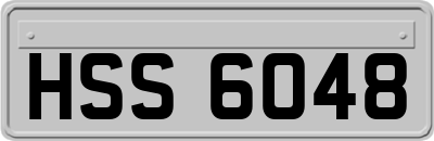 HSS6048