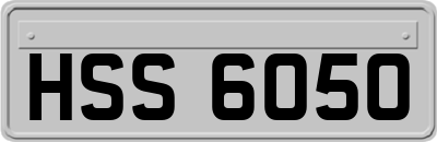 HSS6050