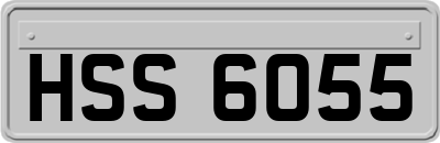 HSS6055