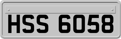 HSS6058