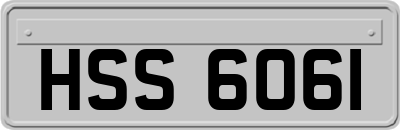 HSS6061