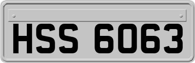 HSS6063
