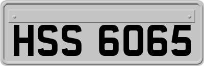 HSS6065