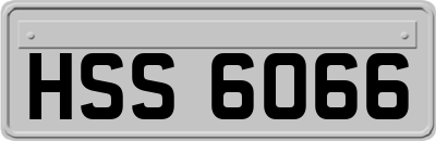 HSS6066