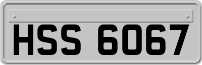HSS6067