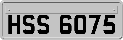 HSS6075