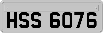 HSS6076