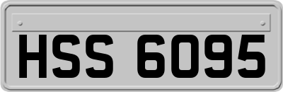 HSS6095