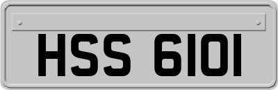 HSS6101