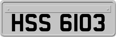 HSS6103