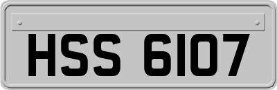 HSS6107