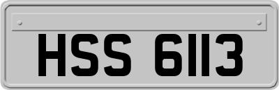 HSS6113