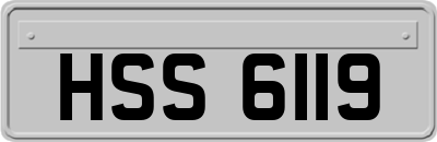 HSS6119
