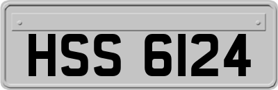 HSS6124