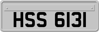 HSS6131