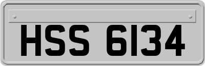 HSS6134
